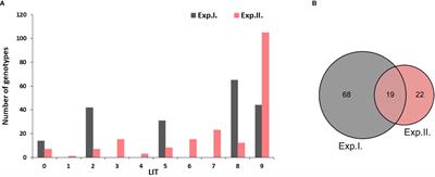 Novel genomic regions on chromosome 5B controlling wheat powdery mildew seedling resistance under Egyptian conditions